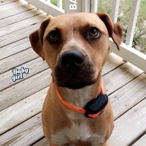 Meet your Posher, Chloe